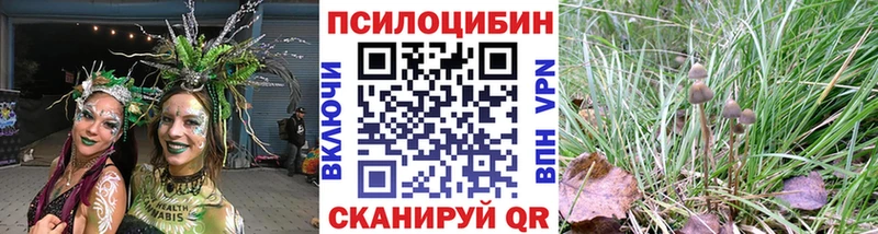 Псилоцибиновые грибы мицелий  купить наркотик  Курган 