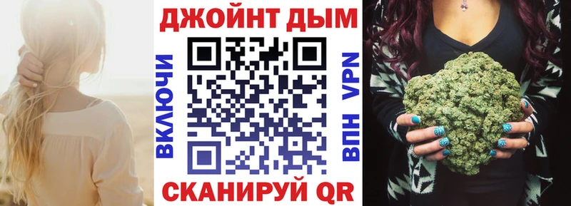 ссылка на мегу как зайти  Курган  Канабис сатива 